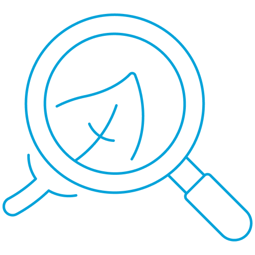 Description of the image